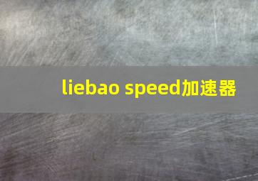 liebao speed加速器